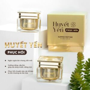 KBONE Kem Phục Hồi Da Huyết Yến 40g (vàng)