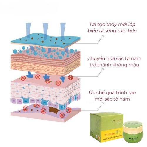 OLY HT Luxury Vitamin B5 Kem Nám Tàn Nhang Đồi Mồi OLY HT Luxury Vitamin B5 Kem Nám Tàn Nhang Đồi Mồi